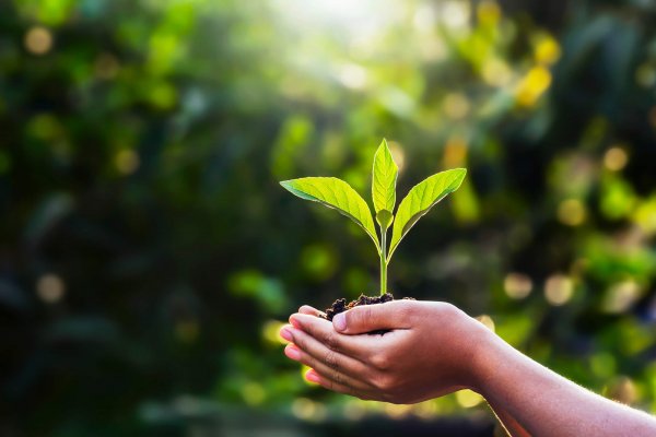 Environmental protection Environmental protection